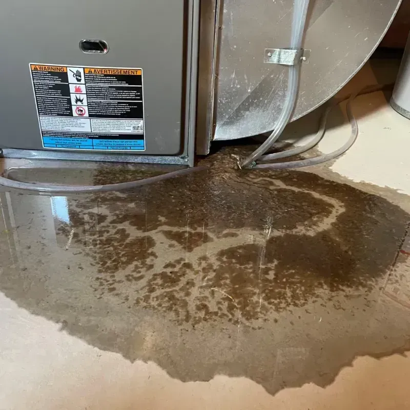 Appliance Leak Cleanup in New Ulm, MN